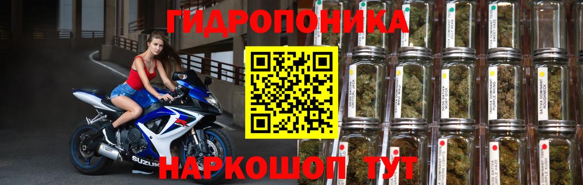 Каннабис индика  Канабис план  Вход с VPN  Шишки марихуана Amnesia  МАРИХУАНА конопля  Симферополь 